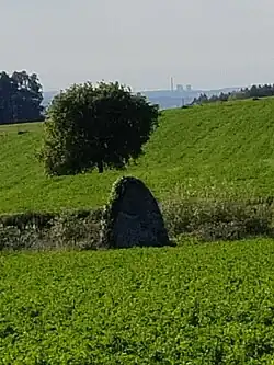 Pedrafita de Andavao III