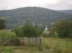 Județ de Vâlcea, Roumanie, 2009