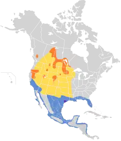 Carte de l'Amérique du Nord et Centrale avec en orange les lieux de nidification situés  au nord ouest de la carte, en jaune les voies de migrations au centre de la carte, en violet un morceau du Texas ou l'espèce est présente à l'année et au sud de l'Amérique du Nord et en Amérique Centrale les aires d'hivernage.