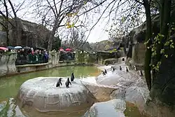 Enclos des manchots de Humboldt en 2008.