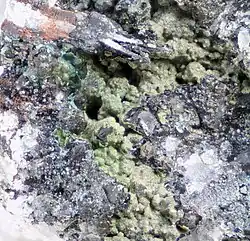 Image illustrative de l’article Pennantite