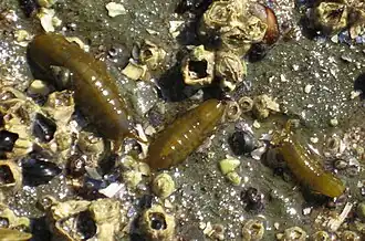 Description de cette image, également commentée ci-après