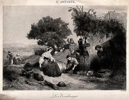 Les Vendanges, estampe.