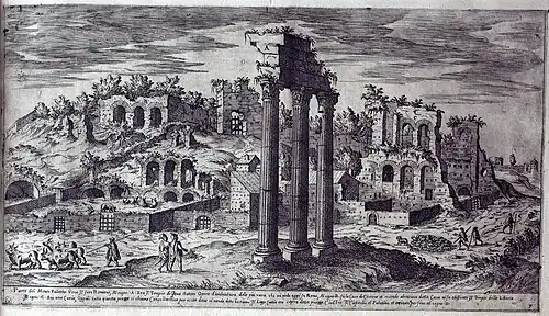 Partie du Mont Palatin.