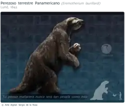 Reconstitution d'Eremotherium laurillardi