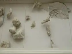 fragments dont une aile