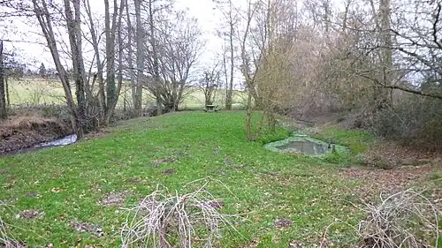 Le ru des Pierresà la source du moulin de la Coudre