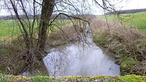 À L'Ermite, après la confluence avec la 2e&nbsp;branche (étang de Brion) et avant la confluence avec la 4e&nbsp;branche