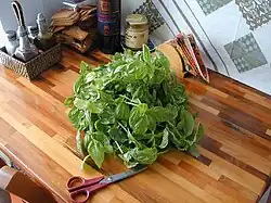 Basilic et ciseaux pour le découper.