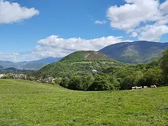 Le Petit Brion vu depuis le plateau du Crozet au printemps 2024.