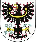 Blason de Petrovice I