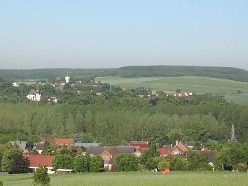 Peupleraie de la vallée