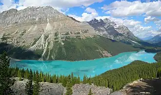 Le lac Peyto