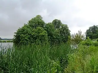 Vue de l'île, vers 2008.