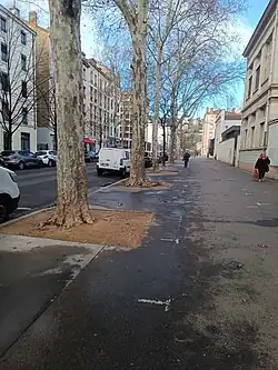 Photo du cours Bayard, situé dans la ZAC des Confluences à Lyon.