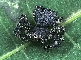 Description de cette image, également commentée ci-après