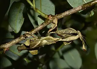 Description de cette image, également commentée ci-après
