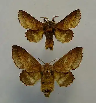 Description de cette image, également commentée ci-après