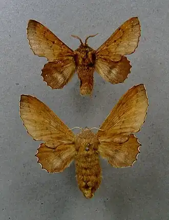 Description de cette image, également commentée ci-après