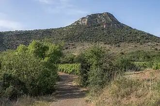 Un chemin, des vignes et le Pic de Vissou (480&nbsp;m) à Cabrières.