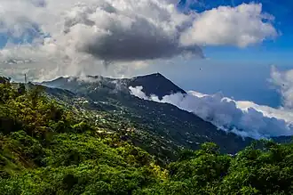 Forêt de nuages de Galipan, La Guaira