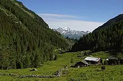 Vue typique du val de Tourtemagne.