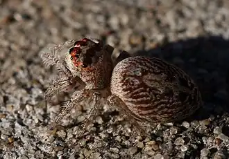 Description de cette image, également commentée ci-après
