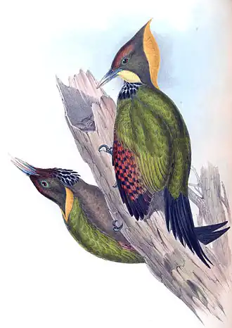 Description de cette image, également commentée ci-après