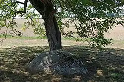 Image illustrative de l’article Pierre Saint-Martin (Luzillé)