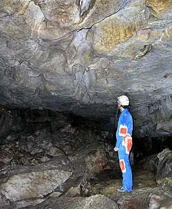 Plafond dans la salle de l'Eau.