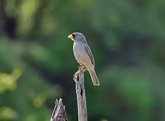 Description de cette image, également commentée ci-après