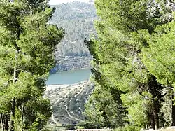 Le réservoir de Beït Zait vu depuis le sentier de randonnée planté de cèdres dans la Forêt de Jérusalem.