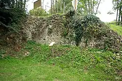 Vue d'un mur en petit appareil partiellement noyé dans la végétation.