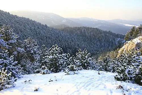Le massif du Pilis vu de Nagykovácsi
