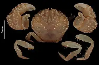 Description de cette image, également commentée ci-après