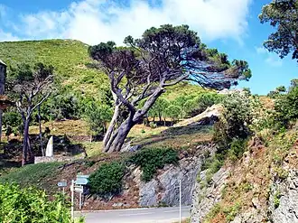 Image illustrative de l’article Col de Santa Lucia