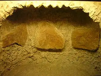 Image illustrative de l’article Calapatá