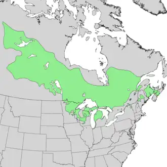 Description de l'image Pinus_banksiana_range_map.png.
