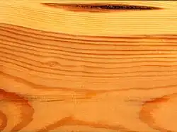 Bois à aubier différencié, canaux résinifères bien visibles, maillure incolore