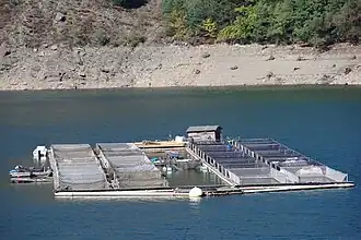 Vue de la pisciculture sur le lac en 2009.