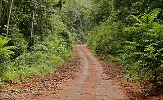 Image illustrative de l’article Piste de Bélizon