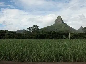 Image illustrative de l’article Piton de la Petite Rivière Noire