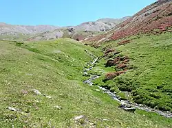 Dans la partie supérieure de la Réserve naturelle nationale de la vallée d'Eyne, début juillet
