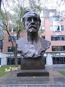 Buste de Louis Pasteur