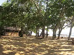 Plage aménagée à Grand Batanga.