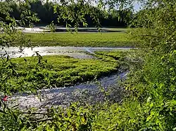 Le lac de Courty, entièrement protégé par le zonage Natura 2000.