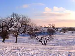 Plaines d'Abraham en hiver