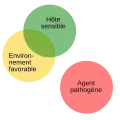 Agent pathogène absent.