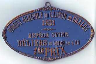 concours d'élevage de 1951, espèce ovine, 1er&nbsp;prix