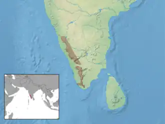 Description de l'image Platacanthomys lasiurus distribution.png.